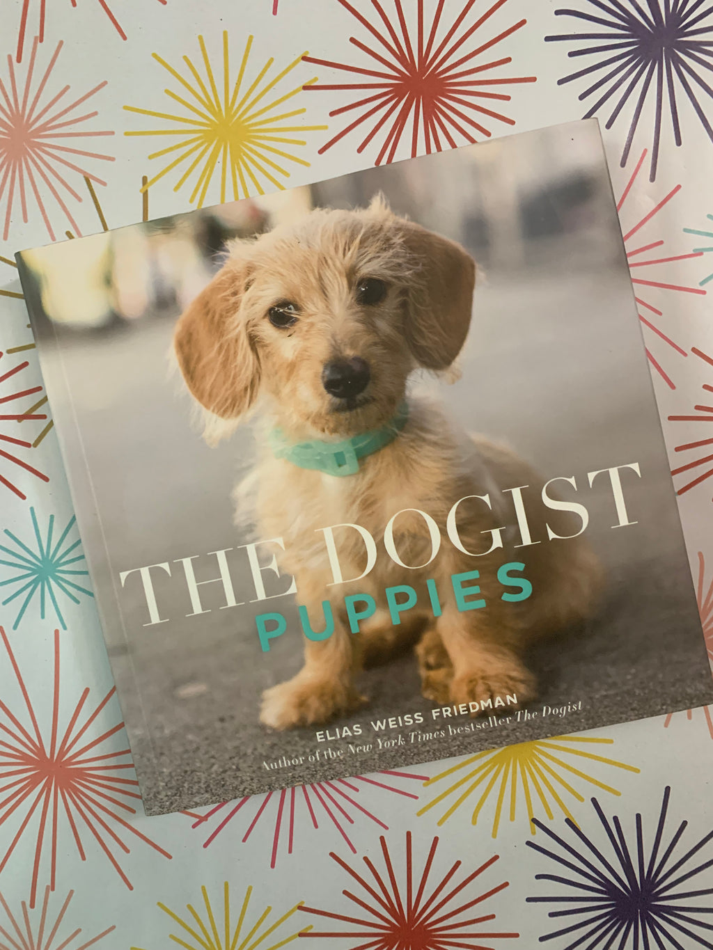 The Dogist: Puppies- By Elias Weiss Friedman