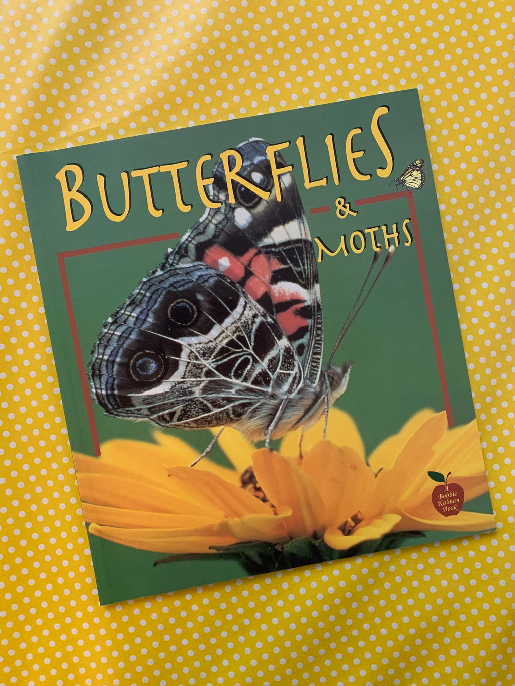 Butterflies & Moths- A Bobbie Kalman Book