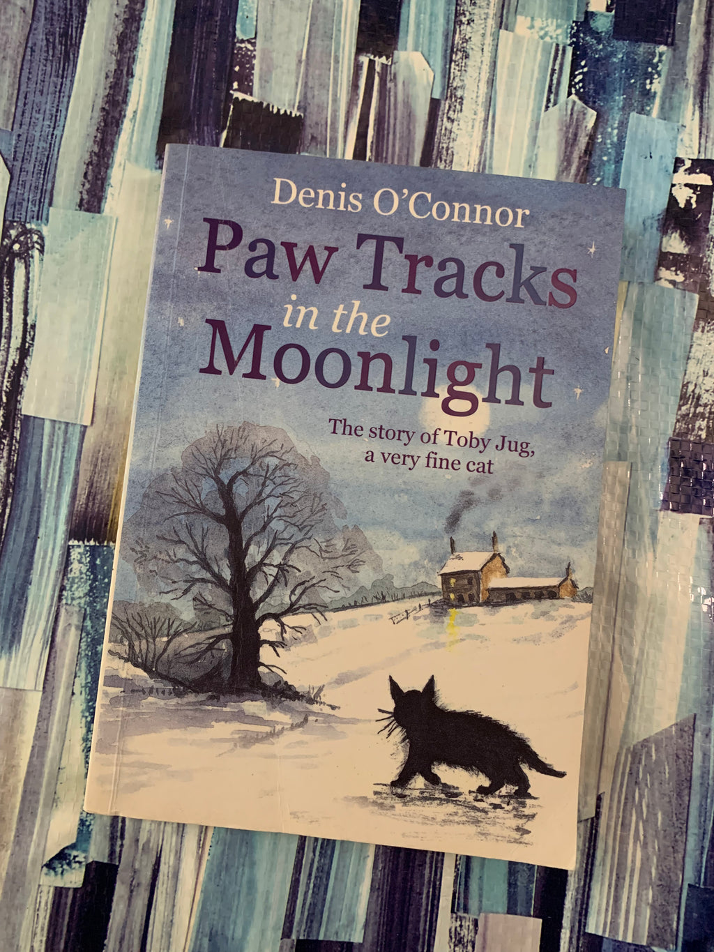 Paw Tracks in the Moonlight- By Denis O'Connor